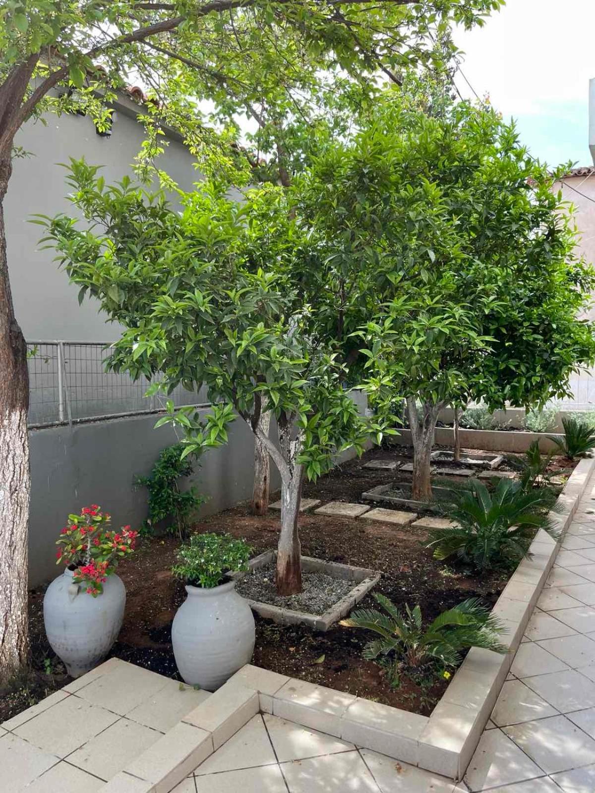 Super Renovated Maisonette - σούπερ ανακαινισμένη μεζονέτα Filiatra